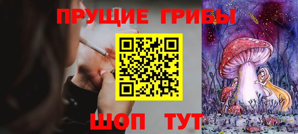 Лыткарино  Псилоцибиновые грибы MAGIC MUSHROOMS  Вход с VPN  Псилоцибиновые грибы GOLDEN TEACHER 