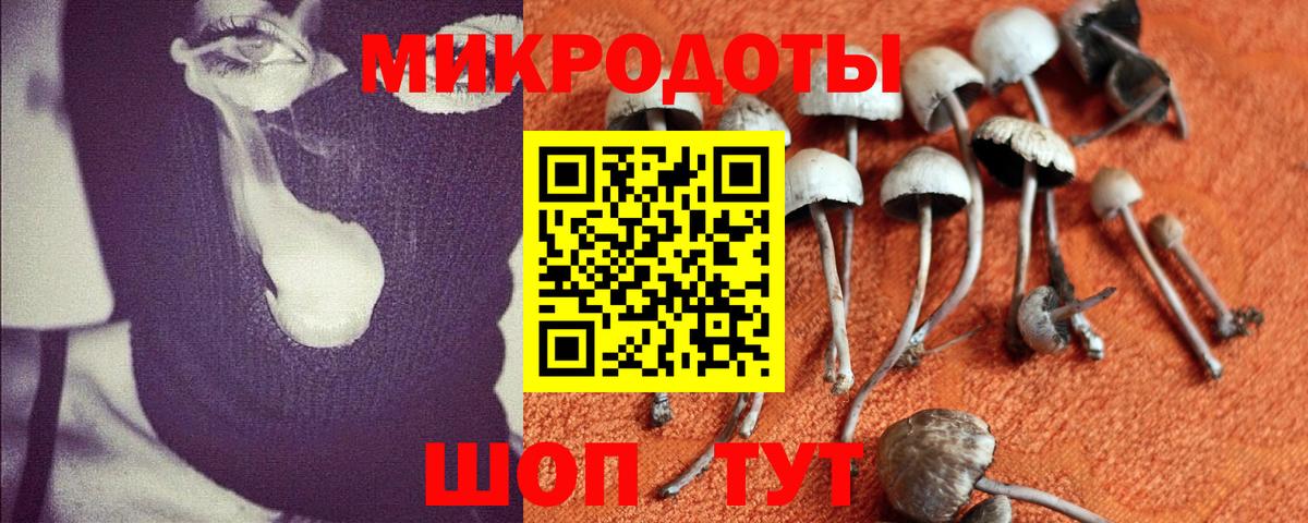 Псилоцибиновые грибы мухоморы Лыткарино